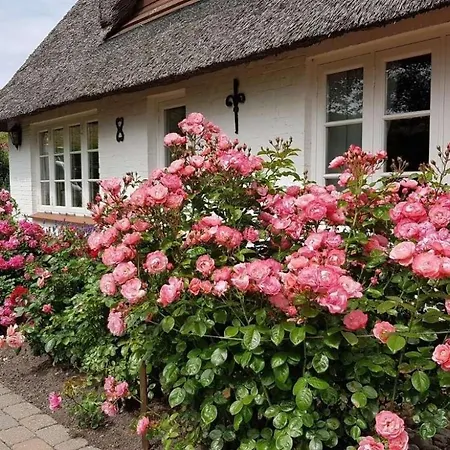 Haus Husen Id 430 *
