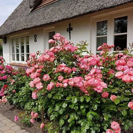 Haus Husen Id 430 *
